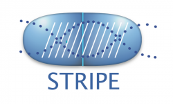 Logo STRIPE